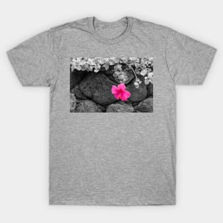 Pink Hibiscus on Lava Rock Wall T-Shirt